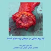 رژیم غذایی در سرطان روده بزرگ